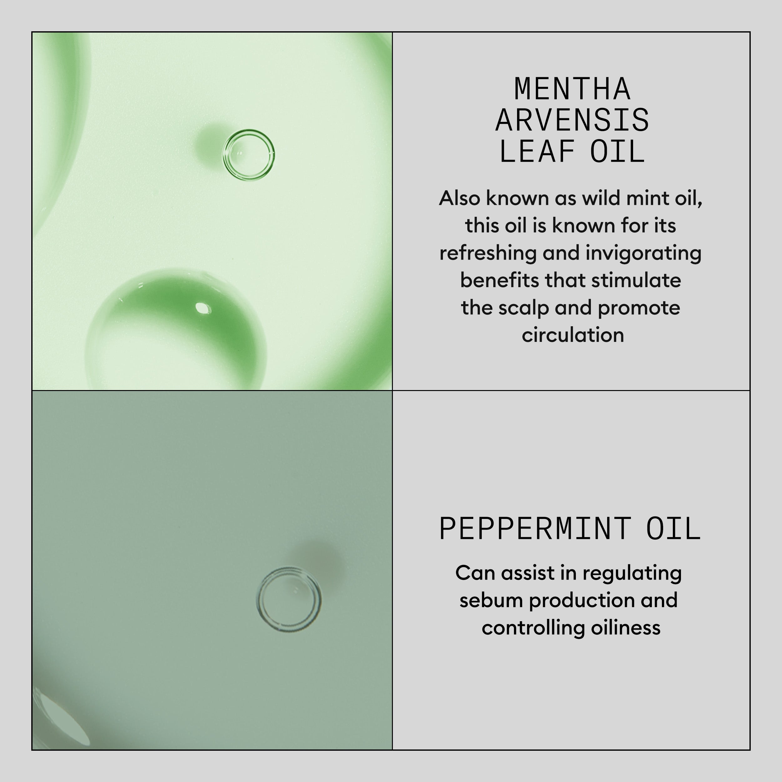 Nioxin Scalp Renew Dermabrasion Treatment - Exfoliation for Scalp Restoration, 75ml