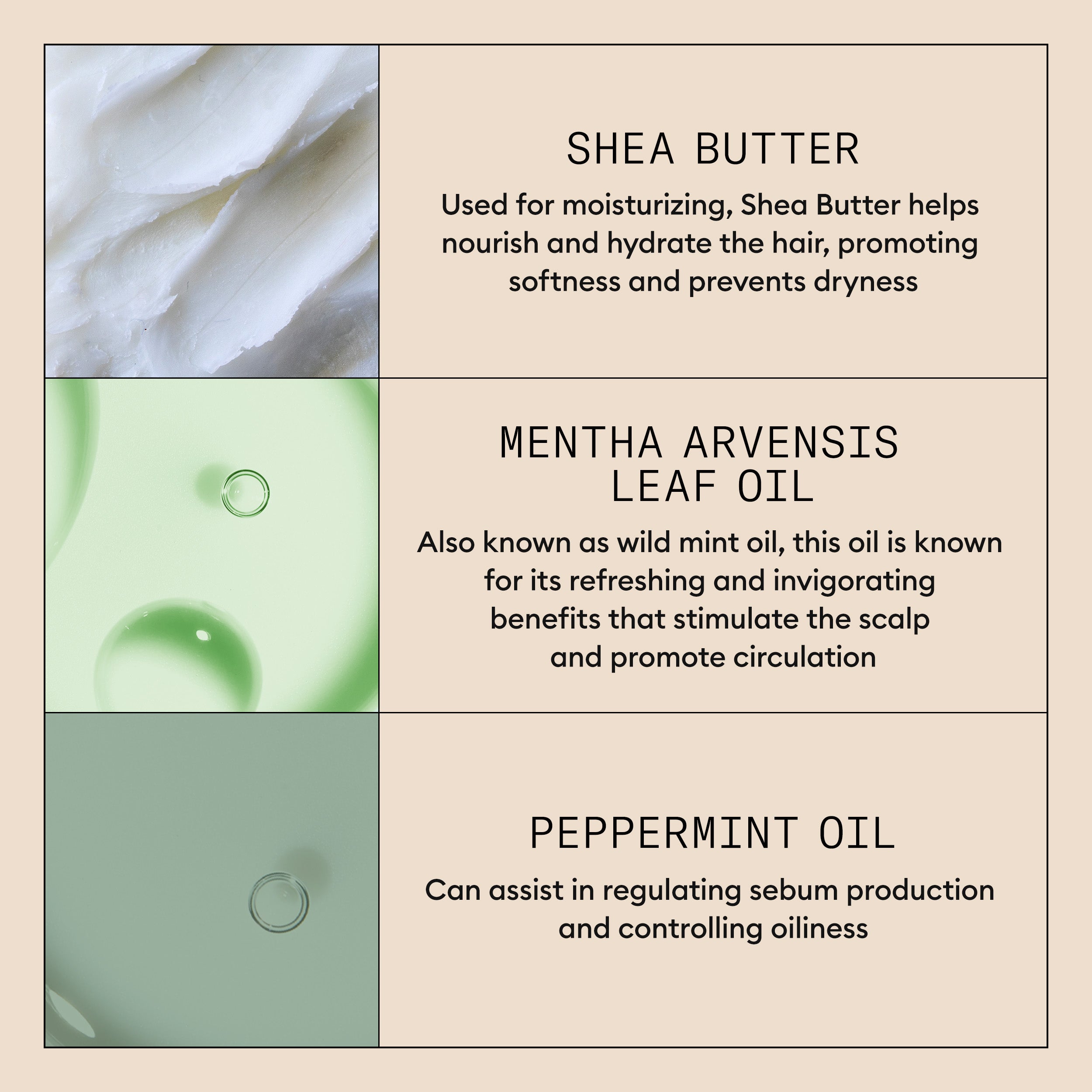 Nioxin Scalp Purifying Exfoliator - Deep Cleanses and Refreshes Scalp, 50ml