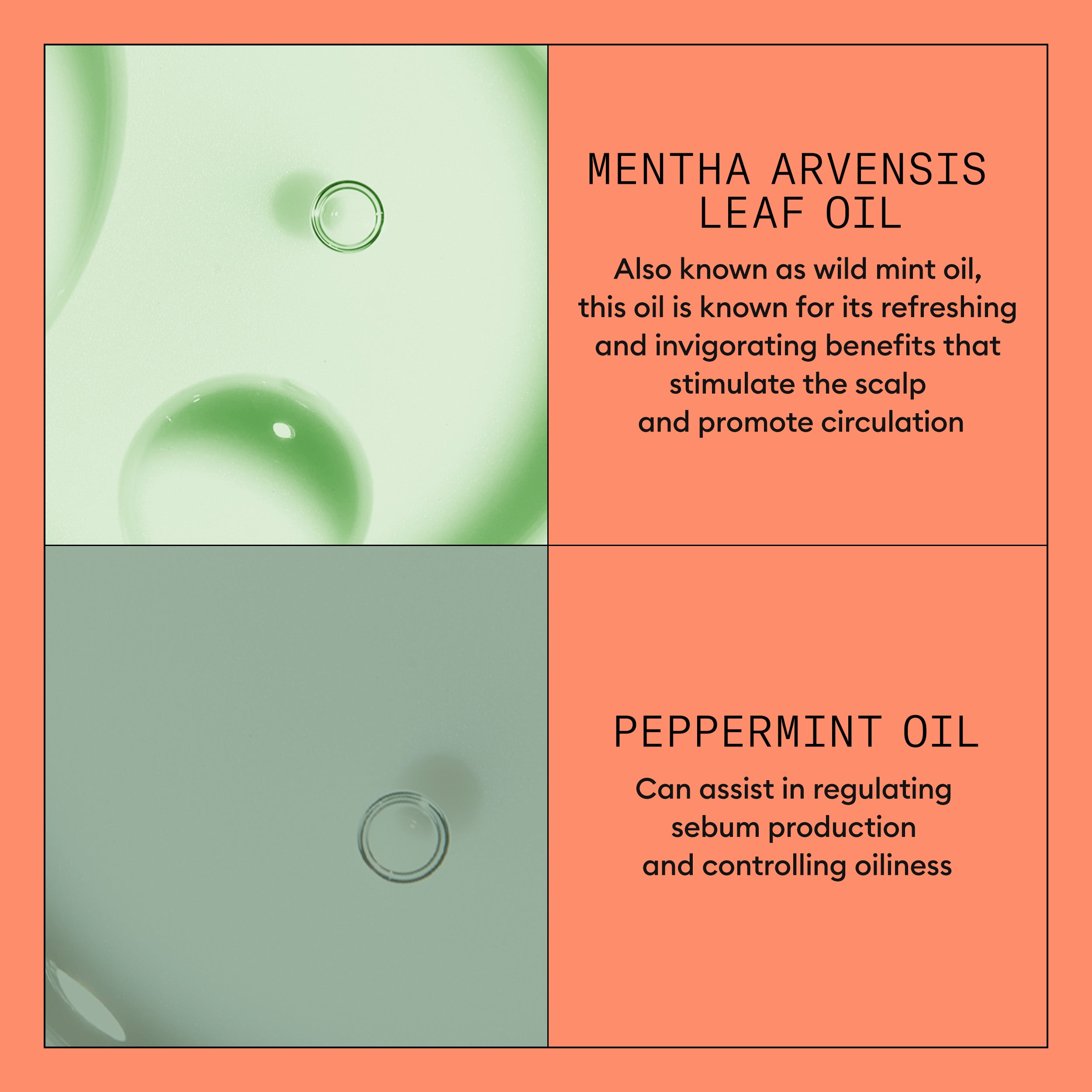 Nioxin System 4 Scalp + Hair Conditioner - Hair Thickening Conditioner