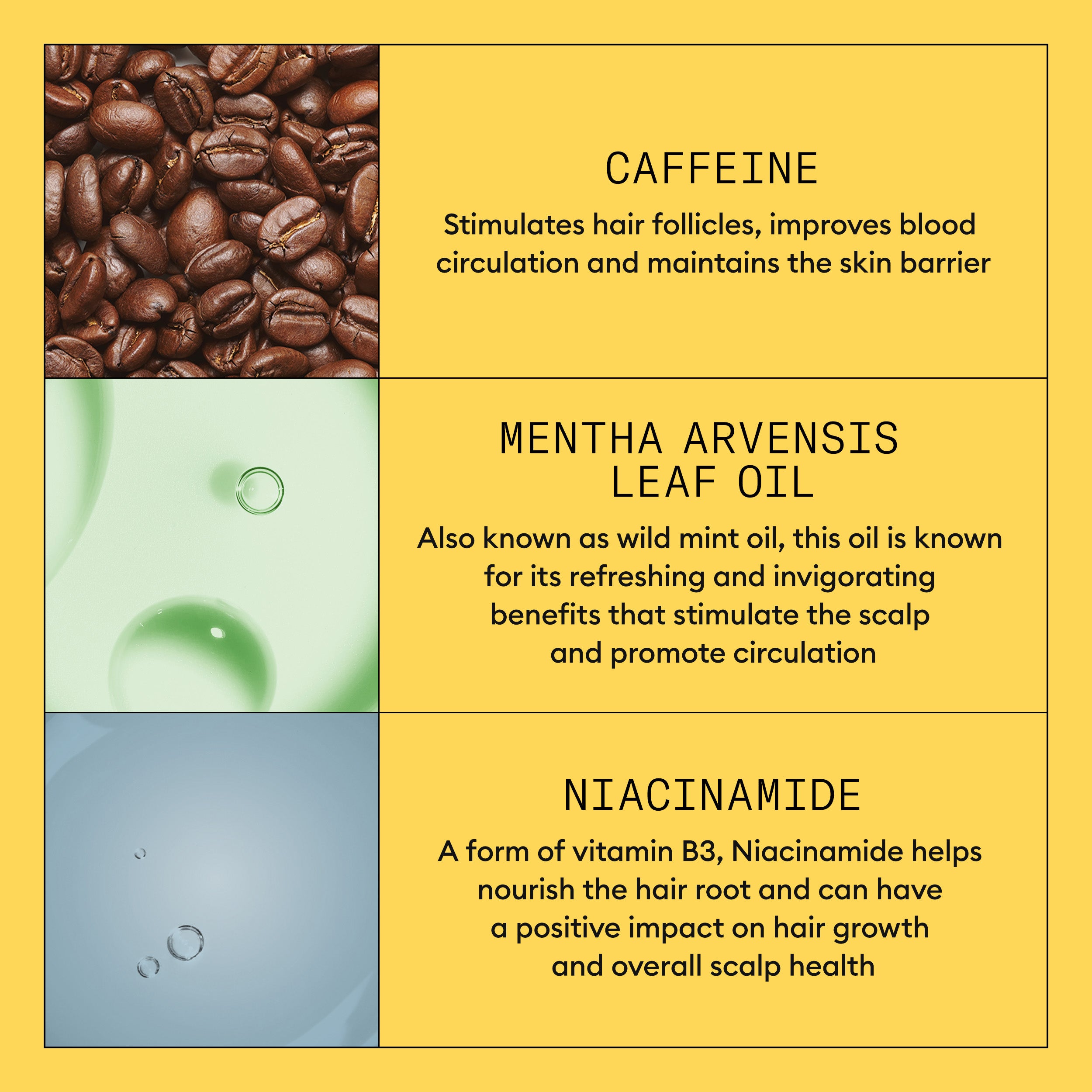 Nioxin System 1 Scalp  + Hair Thickening Treatment - Hair Thickening Serum